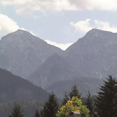 Hotel Hotel-restaurant Bellevue