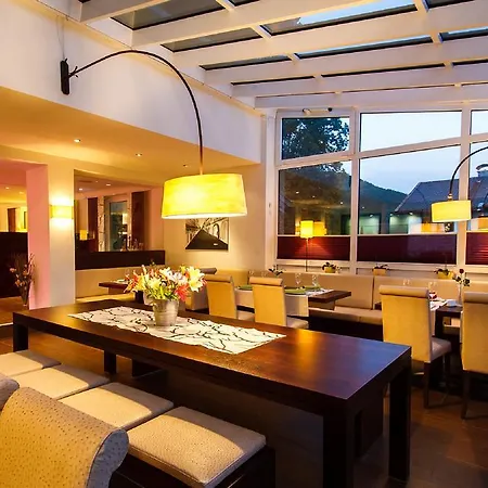 Hotel-restaurant Bellevue 3*
