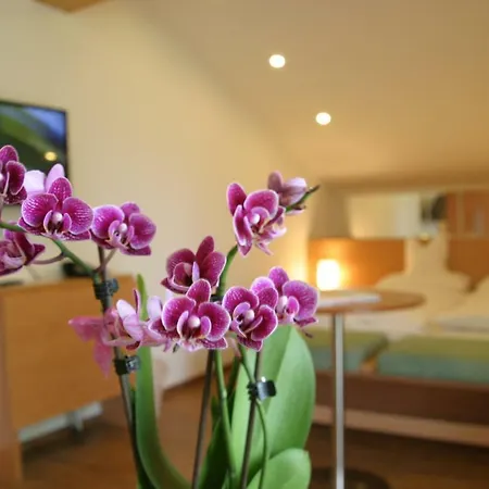 Hotel-restaurant Bellevue Hotel Ruhpolding