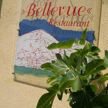 Hotel-restaurant Bellevue Hotel 3*