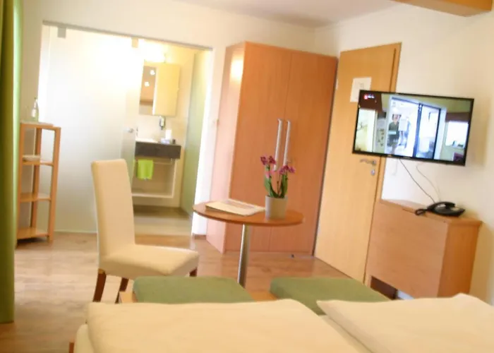 Hotel-restaurant Bellevue 3*