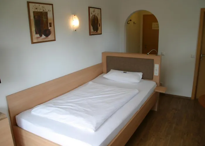 Hotel-restaurant Bellevue 3*