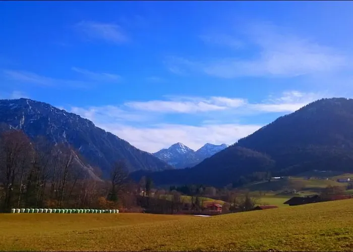 Hotel Hotel-restaurant Bellevue