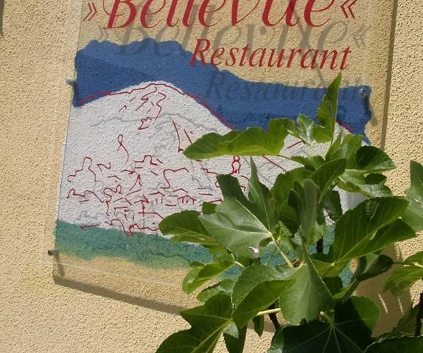 Hotel-restaurant Bellevue Hotel 3*